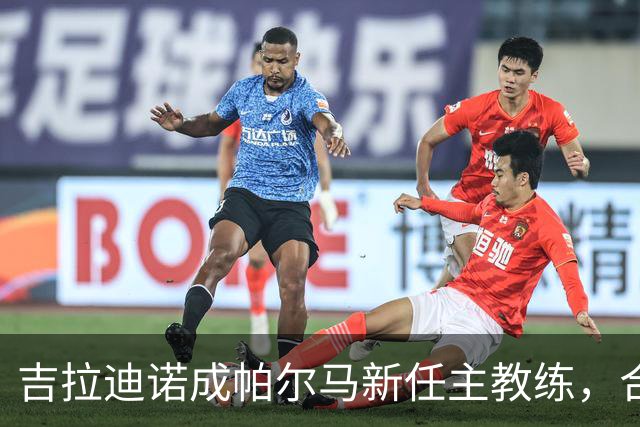 吉拉迪诺成帕尔马新任主教练，合同为期一年